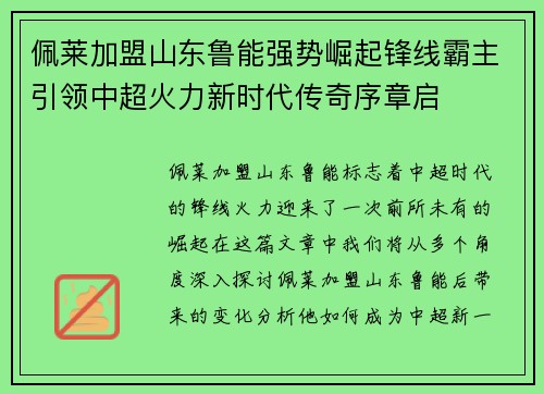 佩莱加盟山东鲁能强势崛起锋线霸主引领中超火力新时代传奇序章启